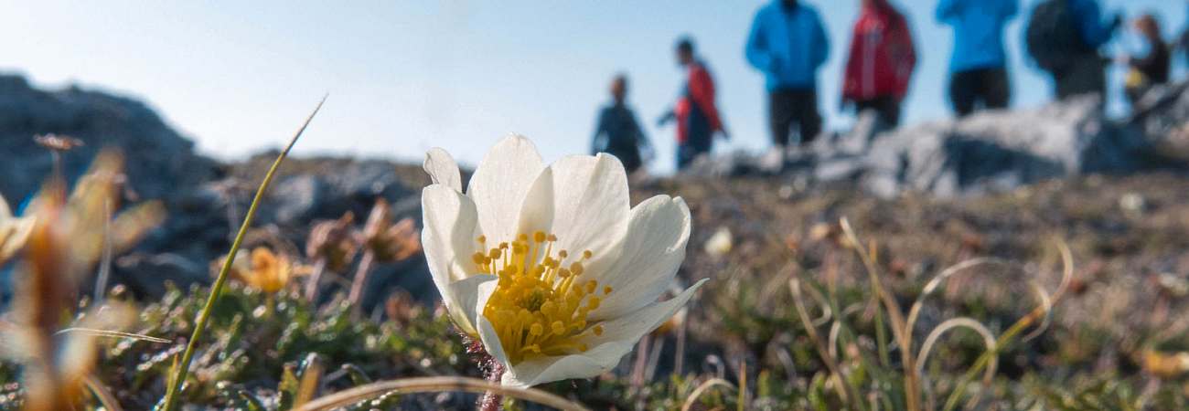 Foto: PolarQuest